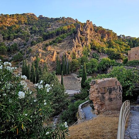 La Mocha Casa Rural La Casa De Ani Ла Ируела Екстериор снимка